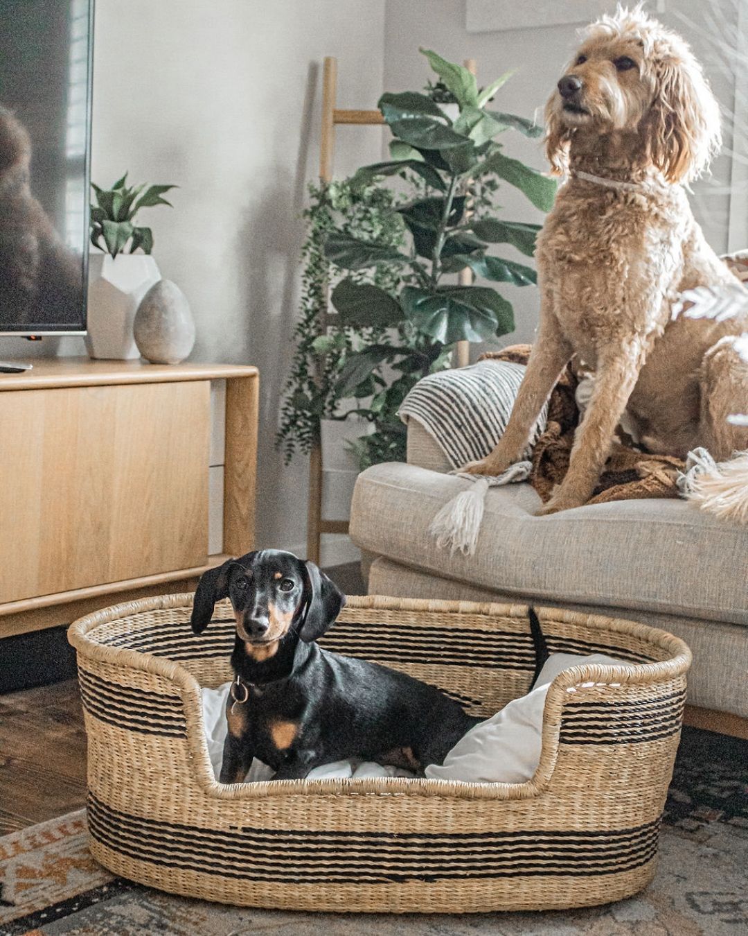 Dog Basket - Black Diamond