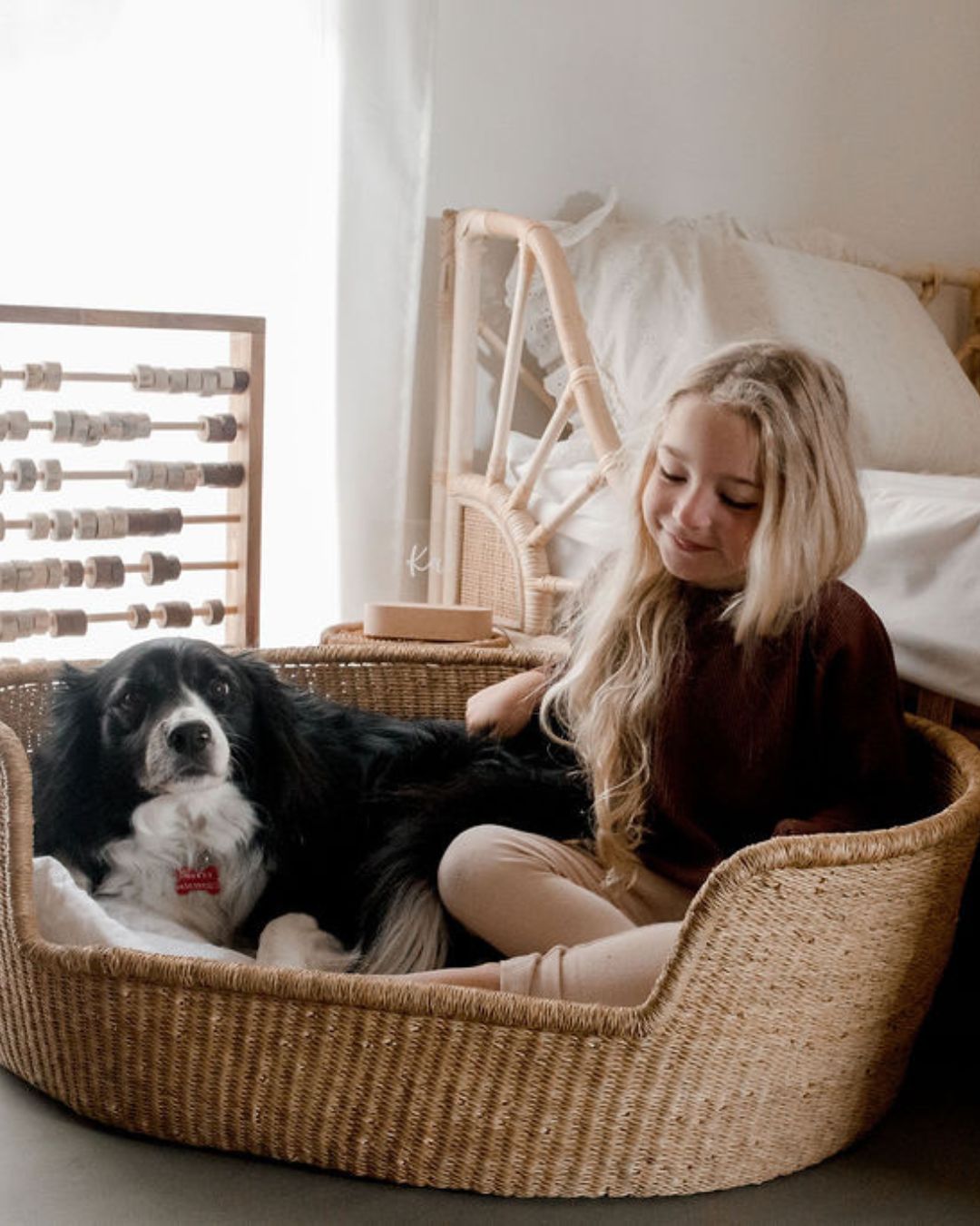 Dog Basket - Tango