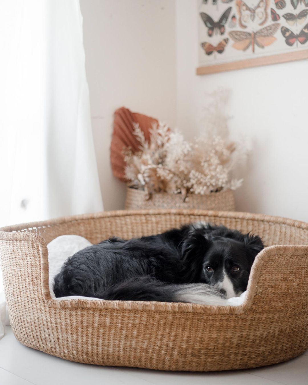Large woven dog basket handcrafted in Ghana