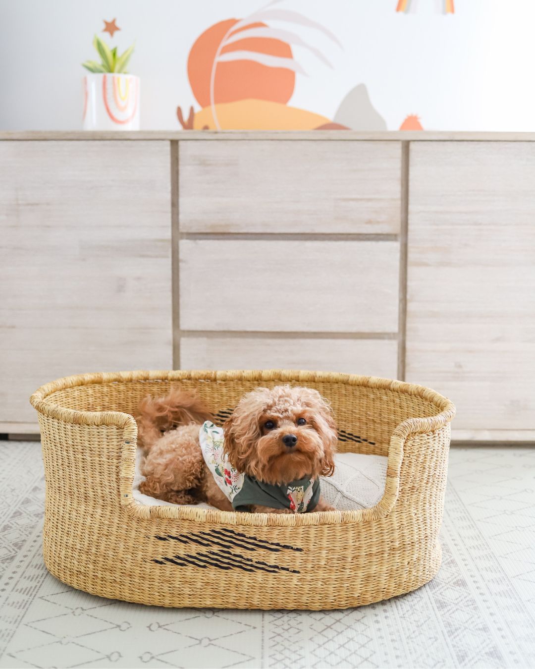 Stylish handmade pet basket for dogs
