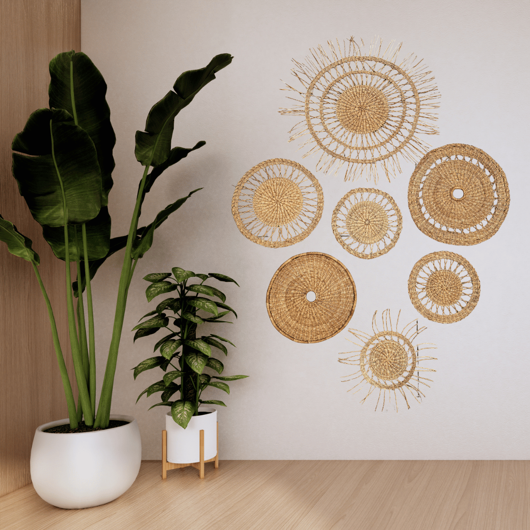 Decorative wall art with woven circular patterns on a white wall, accompanied by potted plants.